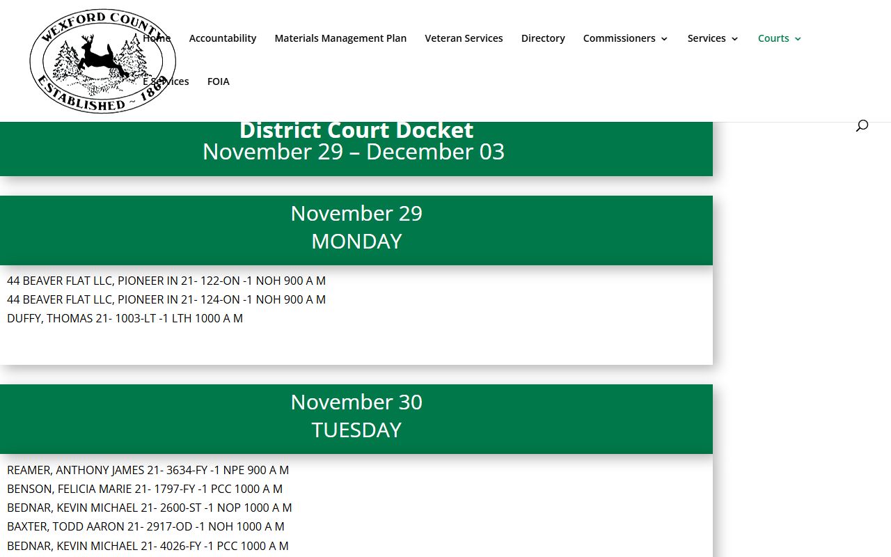 Wexford County District Court docket sample listing case numbers and hearing codes