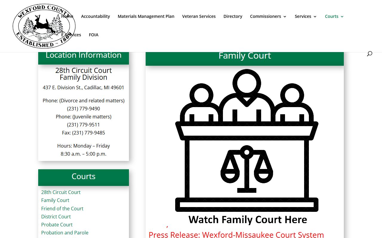 Wexford County court records page for the Family Court