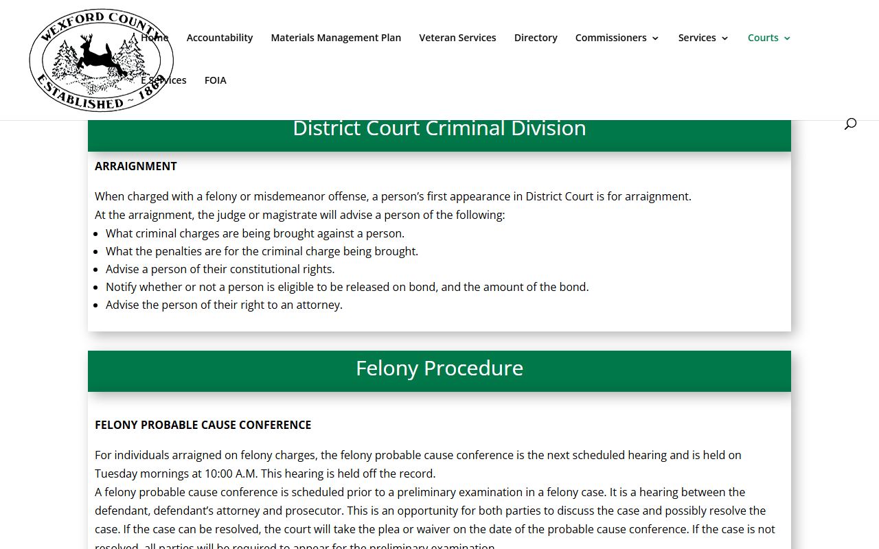 Wexford County District Court Criminal Division records page