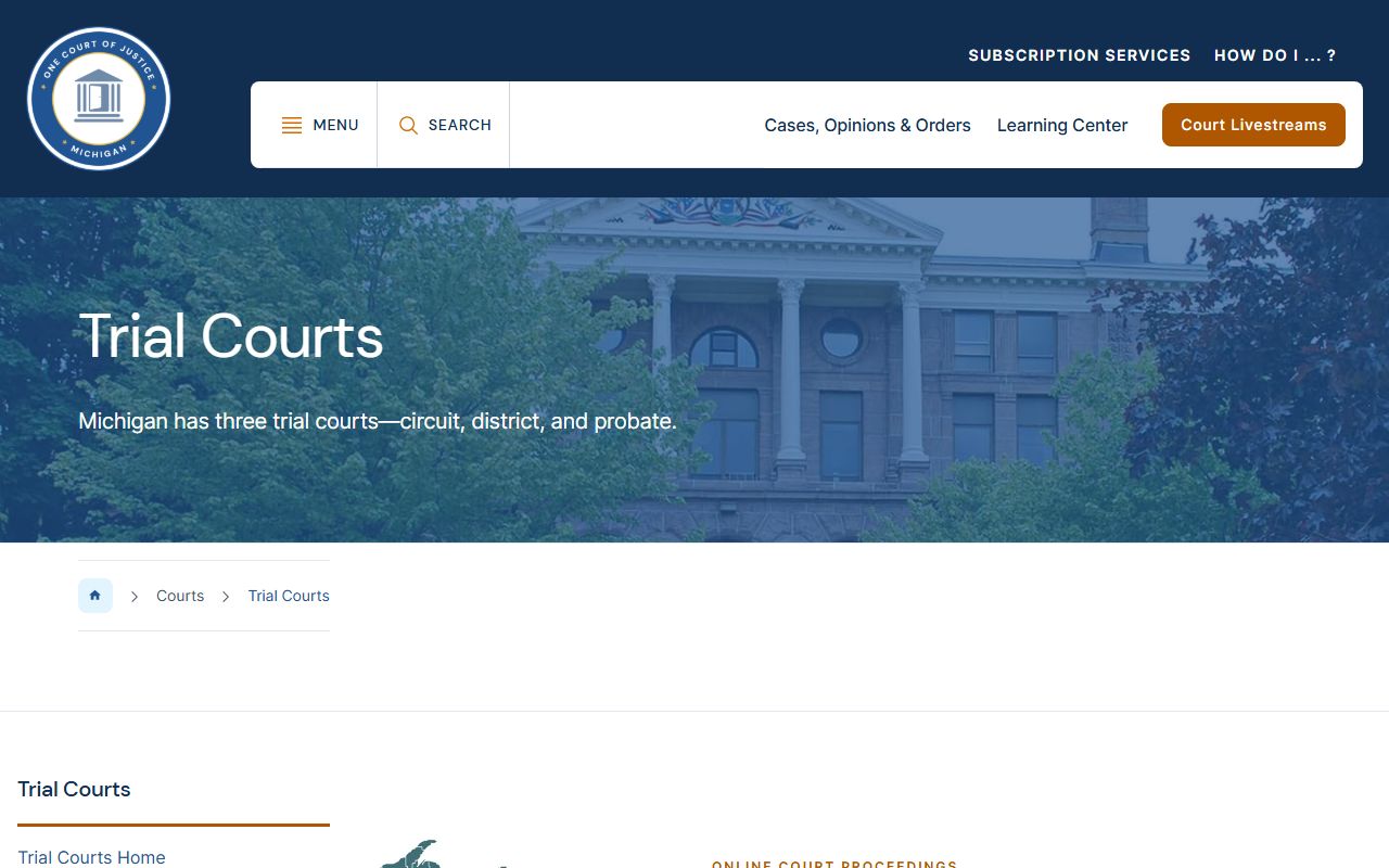 Michigan trial court structure behind Wexford County court records